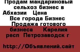 Продам мандариновый сельхоз-бизнес в Абхазии › Цена ­ 1 000 000 - Все города Бизнес » Продажа готового бизнеса   . Карелия респ.,Петрозаводск г.